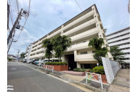 ゾンネンハイム大橋の外観