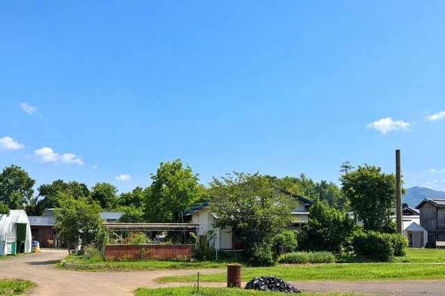 外観：340000278974