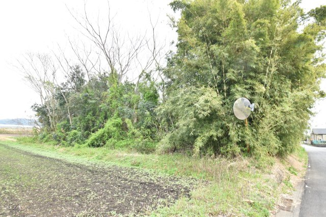 外観：346000041417