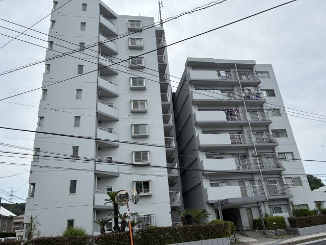 外観：314002774120