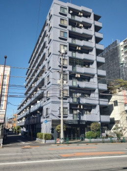 外観：313004669240