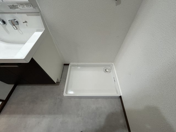 ライオンズマンション西丸之内のランドリースペース