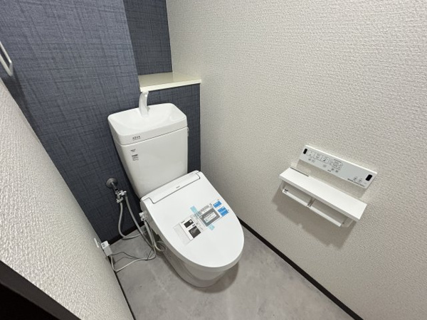 ライオンズマンション西丸之内のトイレ