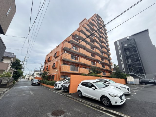 ライオンズマンション西丸之内の外観