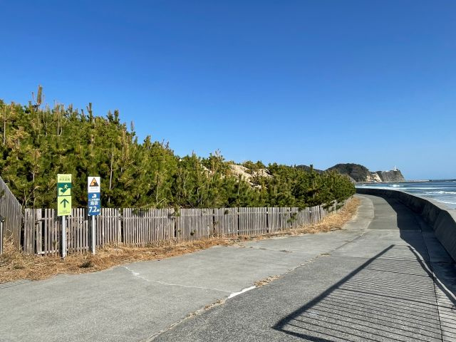 実際の防災緑地の写真です。　現地に行くと、海岸から階段を上り緑地帯があるので、かなりの高さがあります。