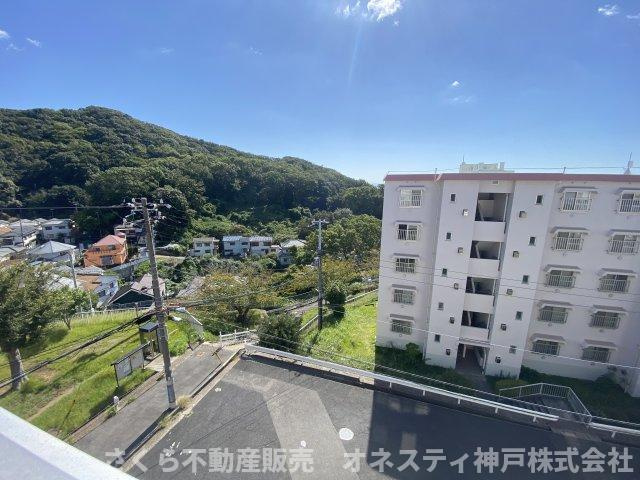 展望