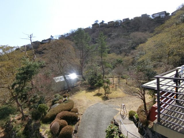 庭