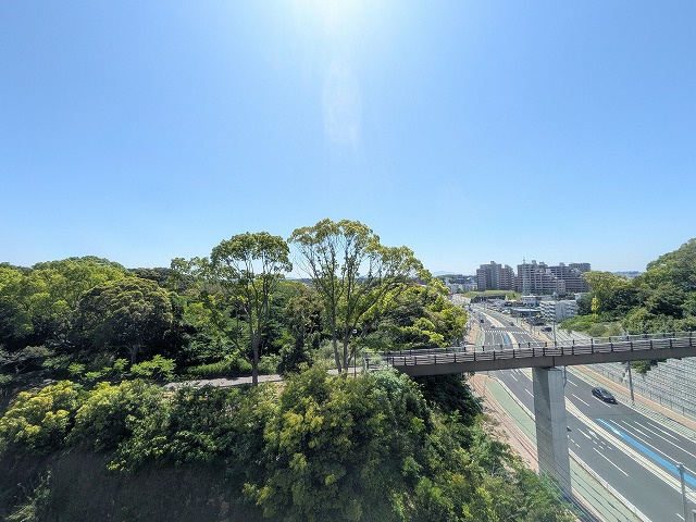 展望