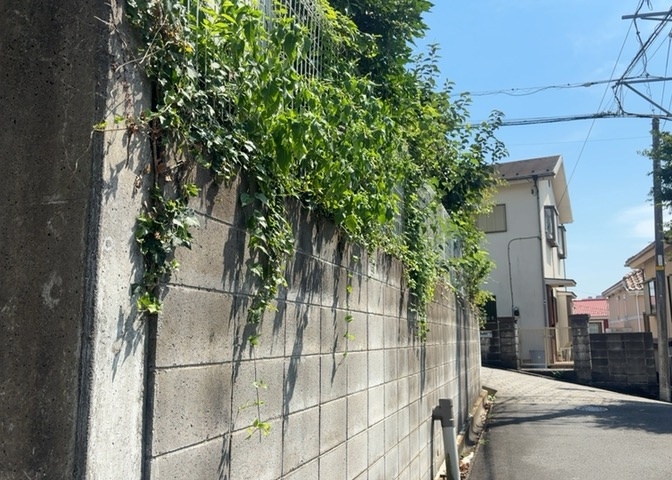 桜や紅葉の名所に出かける人は多いと思いますが、家にいながら季節の移ろいを感じる生活を送りませんか？リビングや窓から見える景色が生活を彩るワンポイントに！現地から見える景色を堪能してみては如何でしょう。
