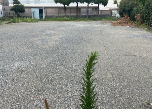 土地の前の道路に消火栓が設置されていることがあります。この場合、道路交通法第45条第1項により、駐車禁止の場所が指定されています。そのため、車庫などの駐車スペースをつくることができない場合があります。