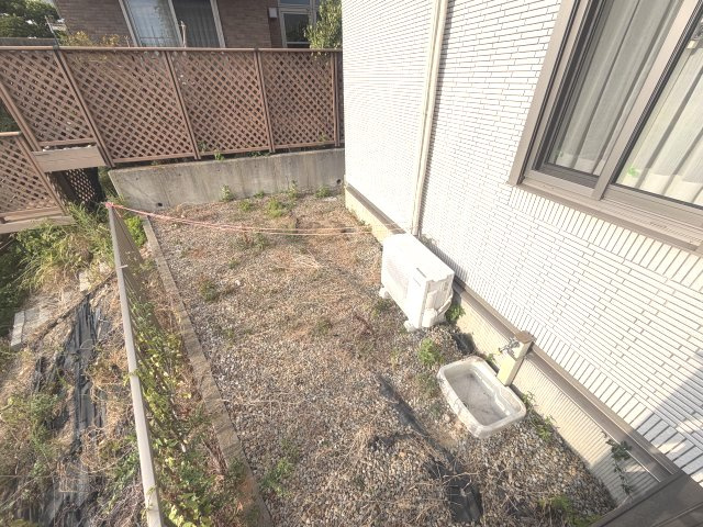 庭