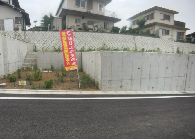 外観：313004736215