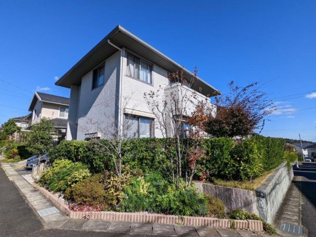 外観：309000074801