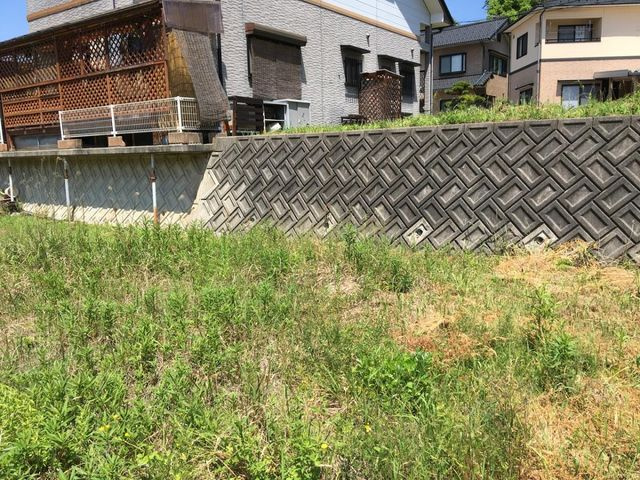 敷地中央からみた景色