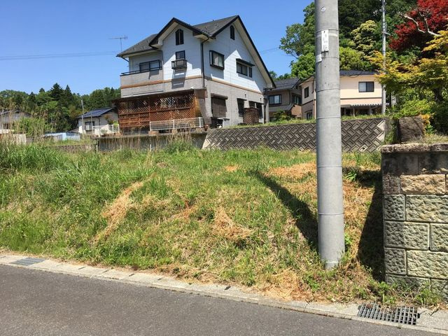 外観：328000618922