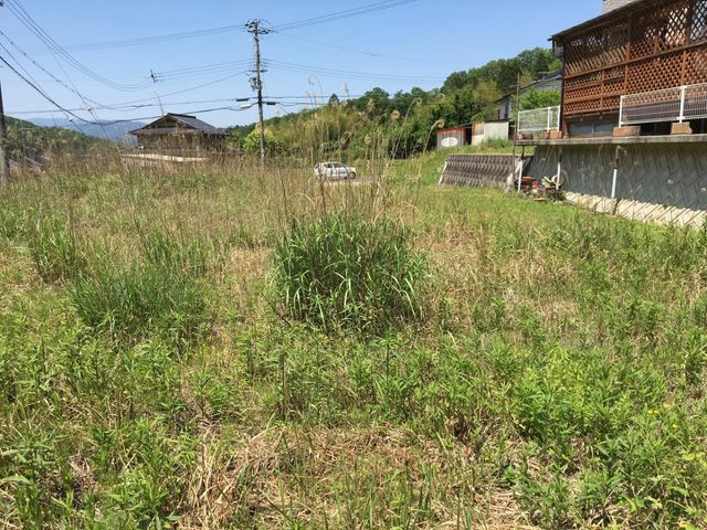 敷地中央からみた景色