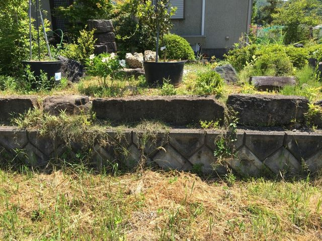 敷地中央からみた景色