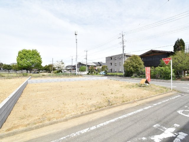 【5号地：現地写真】