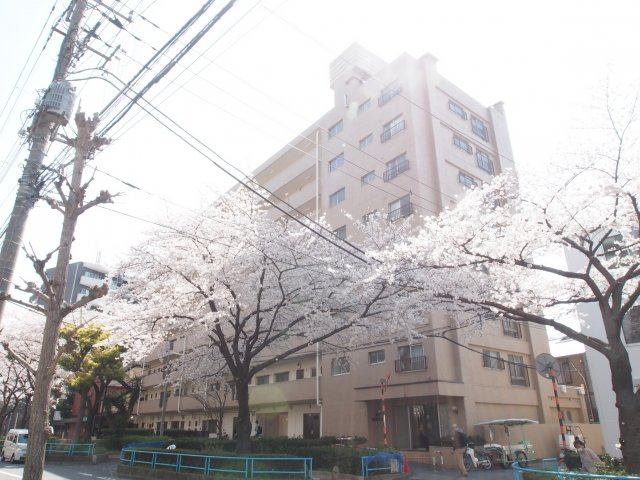 外観：313004558401