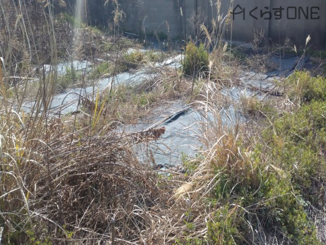 外観：328000549874