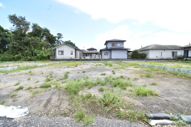 外観：346000012151