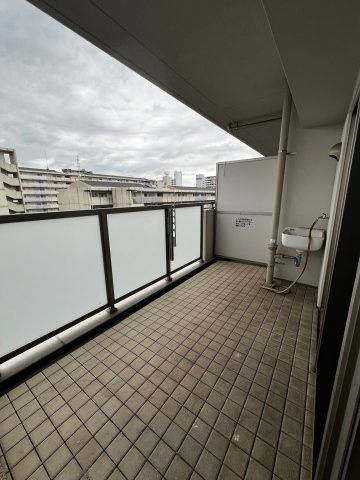 展望