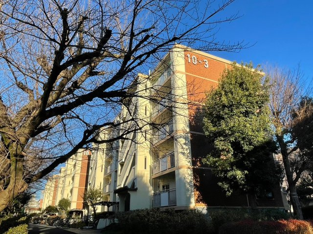 外観：311001814367