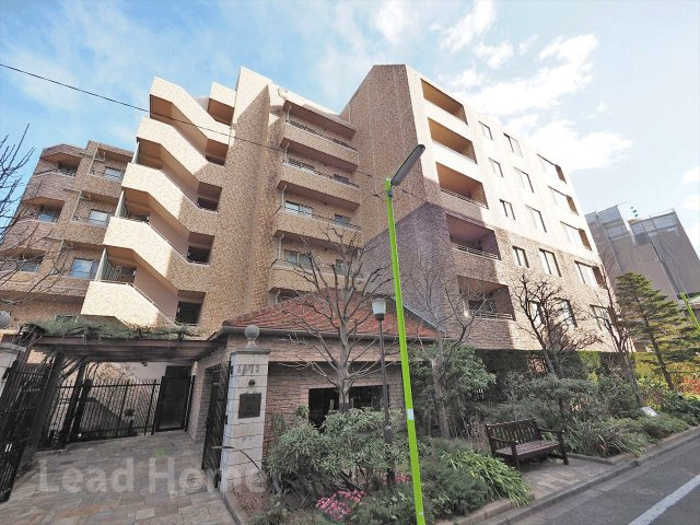 外観：313004684502