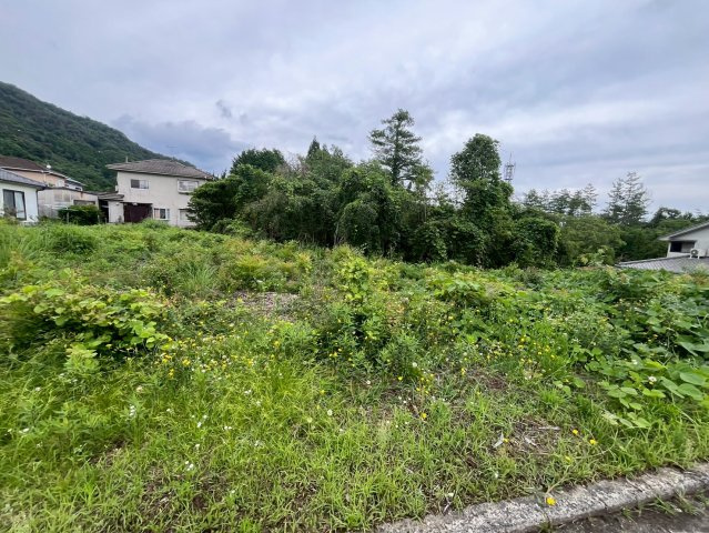 【現地写真】　2026年6月に撮影しました
