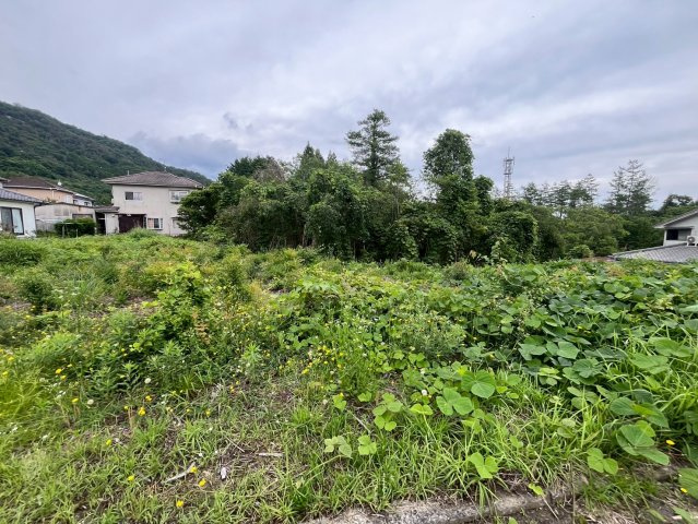 【現地写真】　2026年6月に撮影しました