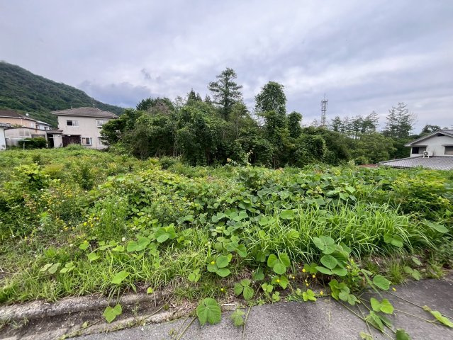 【現地写真】　2026年6月に撮影しました