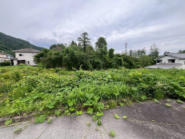 【現地写真】　2026年6月に撮影しました
