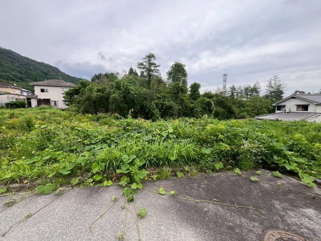 【現地写真】　2026年6月に撮影しました