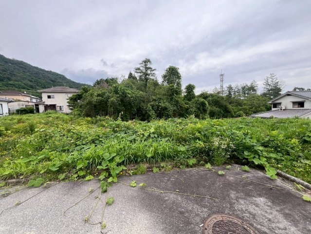 【現地写真】　2026年6月に撮影しました