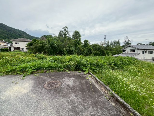 【現地写真】　2026年6月に撮影しました
