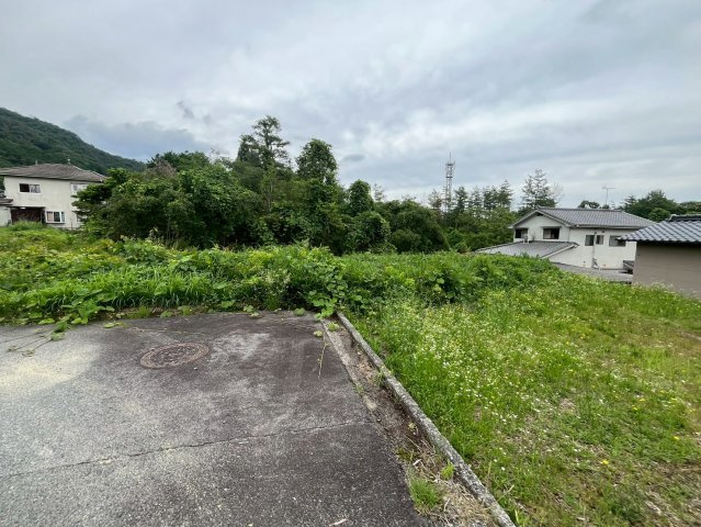 【現地写真】　2026年6月に撮影しました