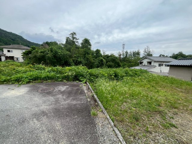 【現地写真】　2026年6月に撮影しました