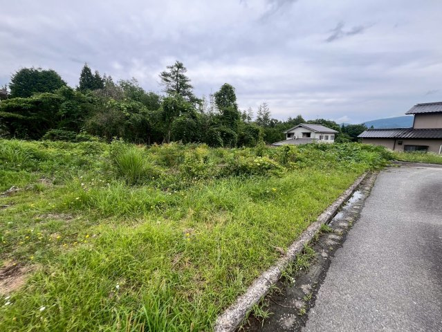 【現地写真】　2026年6月に撮影しました