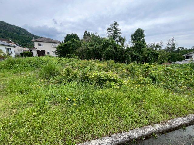 【現地写真】　2026年6月に撮影しました