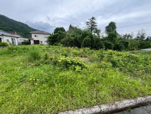 【現地写真】　2026年6月に撮影しました