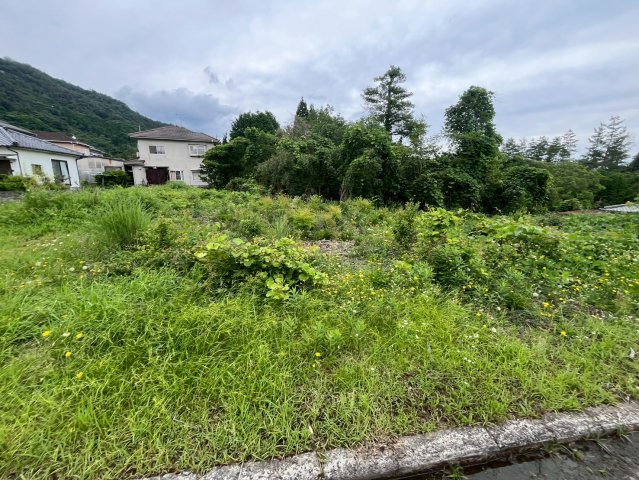 【現地写真】　2026年6月に撮影しました