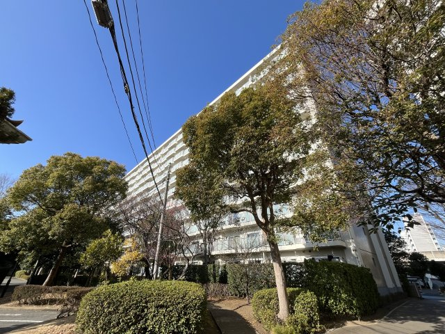 外観：312001190357