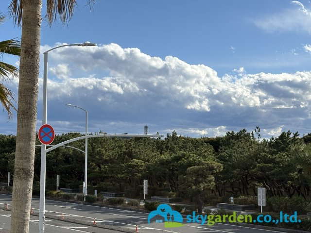江の島のシーキャンドルが見えます