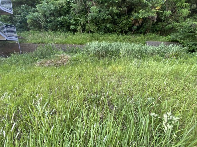 区画図：312001217594