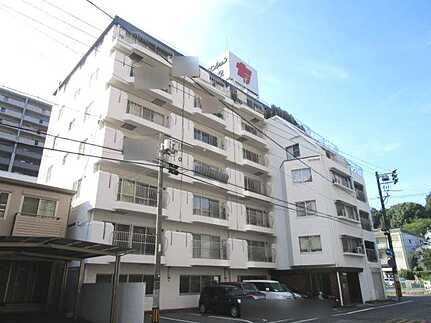 外観：334000236587