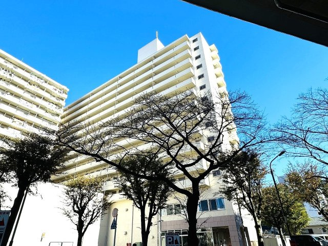 外観：313004946168