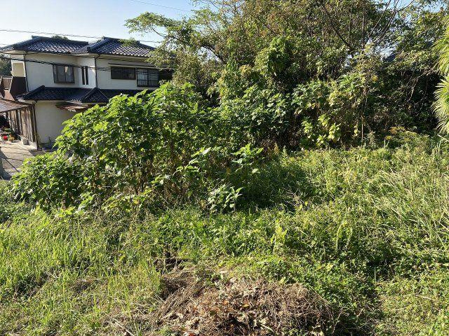 外観：346000040095