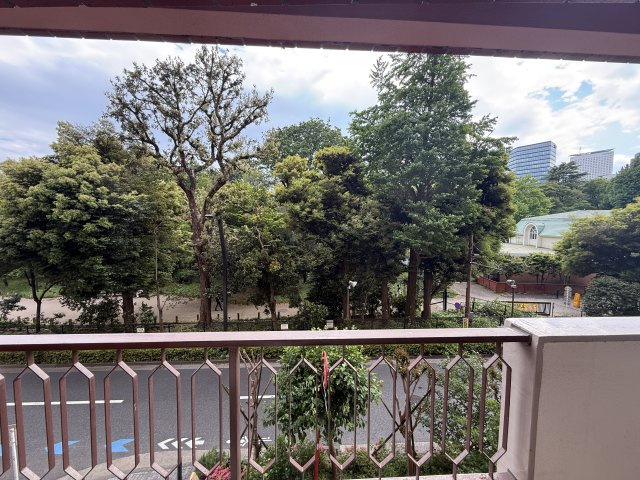 展望