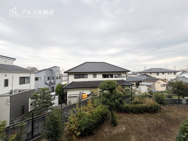 2025年11月撮影