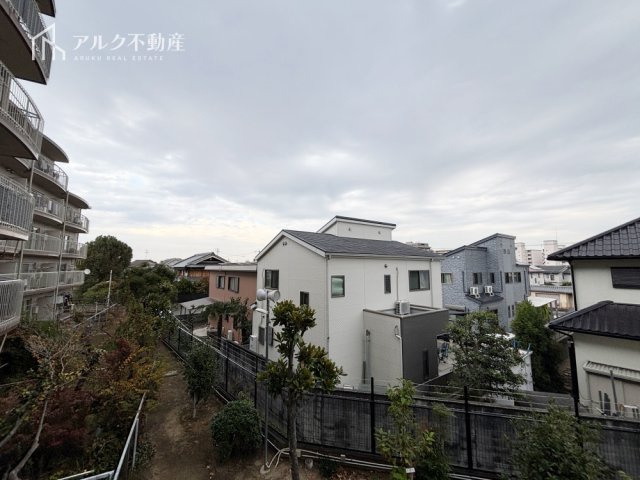 2025年11月撮影